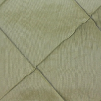 Light Sage Green
